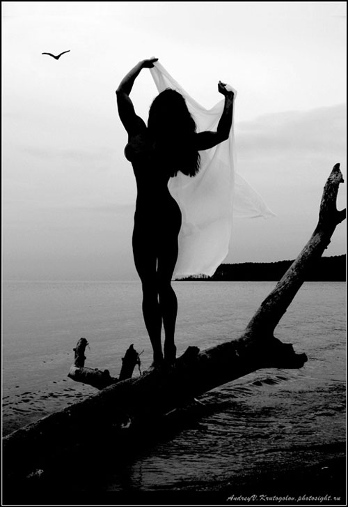 ���������� �������