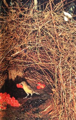 ���������� �������