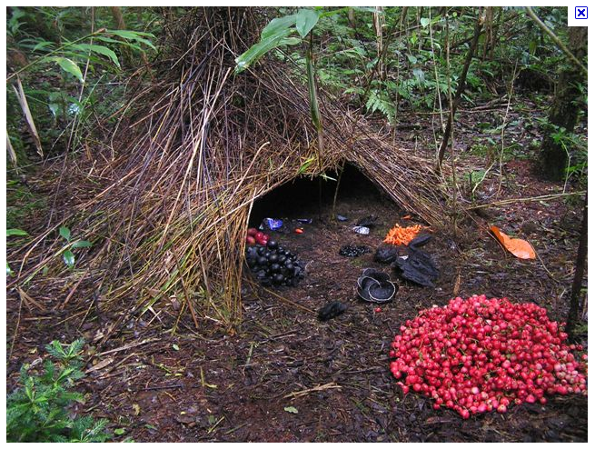 ���������� �������