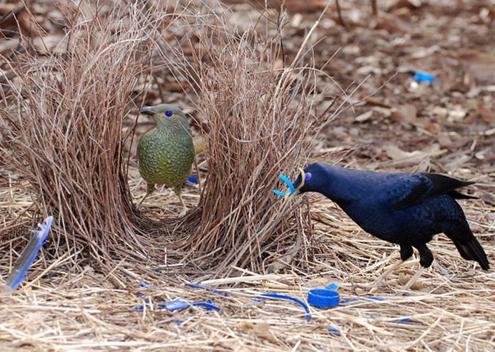 ���������� �������