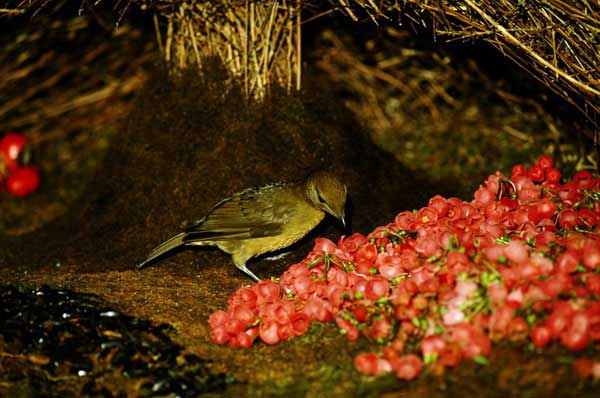 ���������� �������